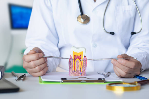  South Jacksonvle, IL Emergency Dentist Pros